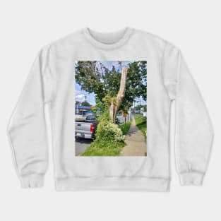 The tree in front of my house Crewneck Sweatshirt